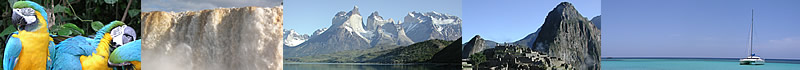 Top image banner