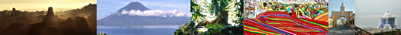 Top image banner