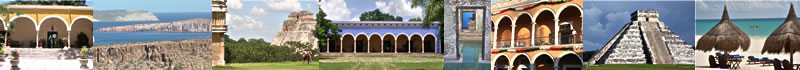 Top image banner