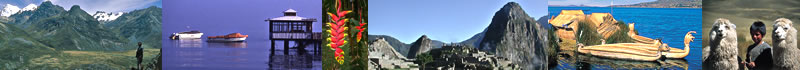 Top image banner