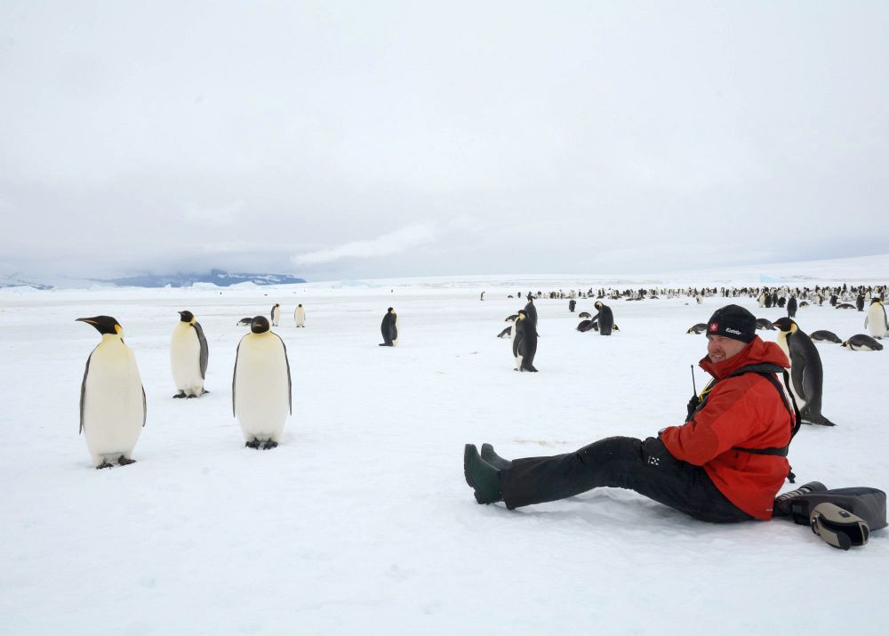 007AQ0810OE_observing-emperor-penguins-james-cresswell.jpg [© Last Frontiers Ltd]