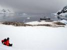 Ice and penguins - Antarctic Peninsula, Antarctica