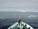 First icebergs - South Shetland Islands, Antarctica
