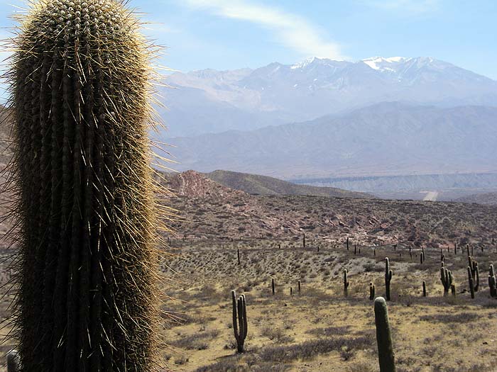 AR0904EP045_road_to_cachi.jpg [© Last Frontiers Ltd]