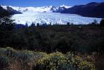 Perito Moreno - Calafate, Argentina