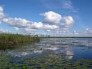 Marshlands - The Iber� Marshlands, Argentina