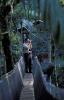 Yacutinga (Canopy walkway.) - Misiones, Argentina