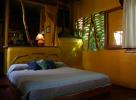 Yacutinga (Double room.) - Misiones, Argentina
