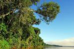 Yacutinga (View over the Iguaz� river.) - Misiones, Argentina