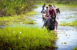 Rincon del Socorro (Riding from San Alonso to Rincon del Socorro.) - The Iber� Marshlands, Argentina