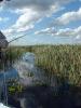 Pir� Lodge (On the marshes.) - The Iber� Marshlands, Argentina