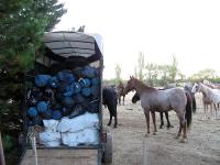 AR0310JW029_trans-continent-ride.jpg