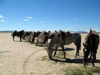 AR0310JW054_trans-continent-ride.jpg