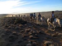 AR0310JW059_trans-continent-ride.jpg