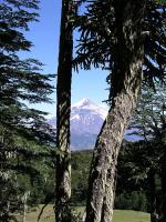 Image: Lann volcano - San Martin de los Andes