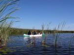 Image: Posada Aguap - The Iber Marshlands