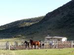 Image: Rancho e Cuero - Mendoza, Argentina