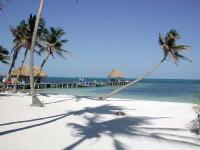The Cayes image