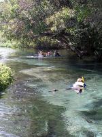 Snorkelling the Sucuri river