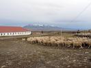 Estancia Cerro Guido - Torres del Paine, Chile