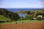 West coast - Chilo� Island, Chile