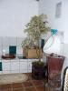 Black Sheep Inn (Bathroom (composting loo).) - Southern Sierra, Ecuador