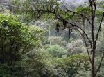 Image: Mashpi Lodge - Mindo, Ecuador