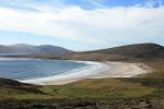Image: Saunders Island - West Falkland