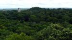 Tikal - Petn and the North, Guatemala