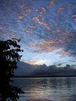Image: Essequibo - The Central forest zone