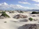 Isla Magdalena - La Paz and Espirito Santo, Mexico