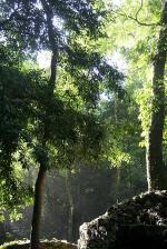 Image: Palenque - Palenque