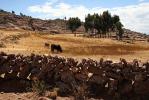 Taquile Island - Lake Titicaca, Peru