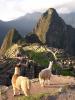 Machu Picchu - Machu Picchu, Peru
