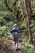 Image: MLP trek: Day 6 - The Inca Trails