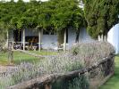 Finca Narbona image