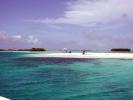 Francisqu� - Los Roques, Venezuela