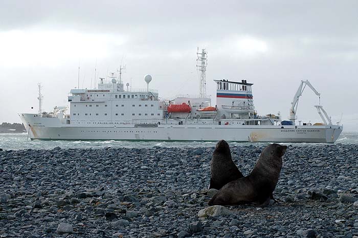 AQAF07_Vavilov_7_Photographer_John_Rodsted.jpeg.jpg [© Last Frontiers Ltd]