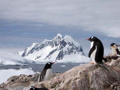 This is the classic introduction to Antarctica and is the minimum time necessary to both navigate to and fully appreciate the wonderful wildlife and breathtaking scenery of the far south. Most cruises are 9-11 days and include the principal visitor sites of the Antarctic peninsula and South Shetland Islands, with plenty of time for educational and illuminating lectures from naturalist expedition staff. Itinerary idea thumbnail