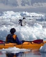 Image: Penguin and kayak - Antarctic Peninsula and the Shetland Islands