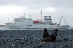 Akademik Sergey Vavilov - Antarctic Peninsula and the Shetland Islands, Antarctica