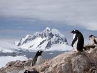 Antarctic Peninsula and the Shetland Islands image