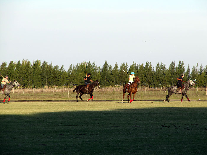 AR0411OF393_polo-practice.jpg [© Last Frontiers Ltd]