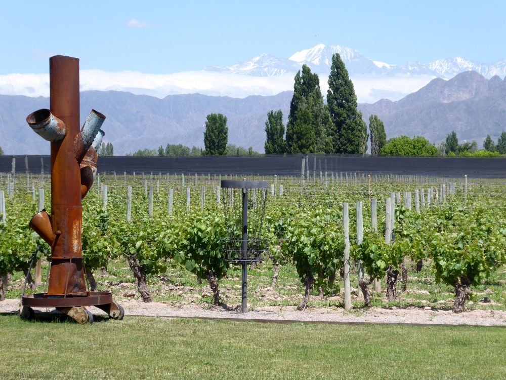 AR2211EP205_mendoza-maal-wines.jpg [© Last Frontiers Ltd]