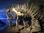 Image: MEF museum - Valds Peninsula