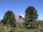 Image: Lann volcano - San Martin de los Andes, Argentina