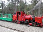 Image: Lapataia train - Ushuaia