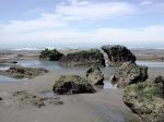 Image: Punta Delgada - Valds Peninsula