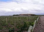 Image: Salentein winery - Mendoza, Argentina