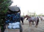 Image: Trans-continent ride - Rio Gallegos